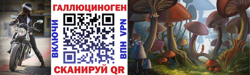 хочу   ссылка на мегу ТОР  Галлюциногенные грибы мицелий  Дальнереченск 