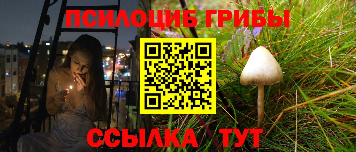 Псилоцибиновые грибы Magic Shrooms Дальнереченск