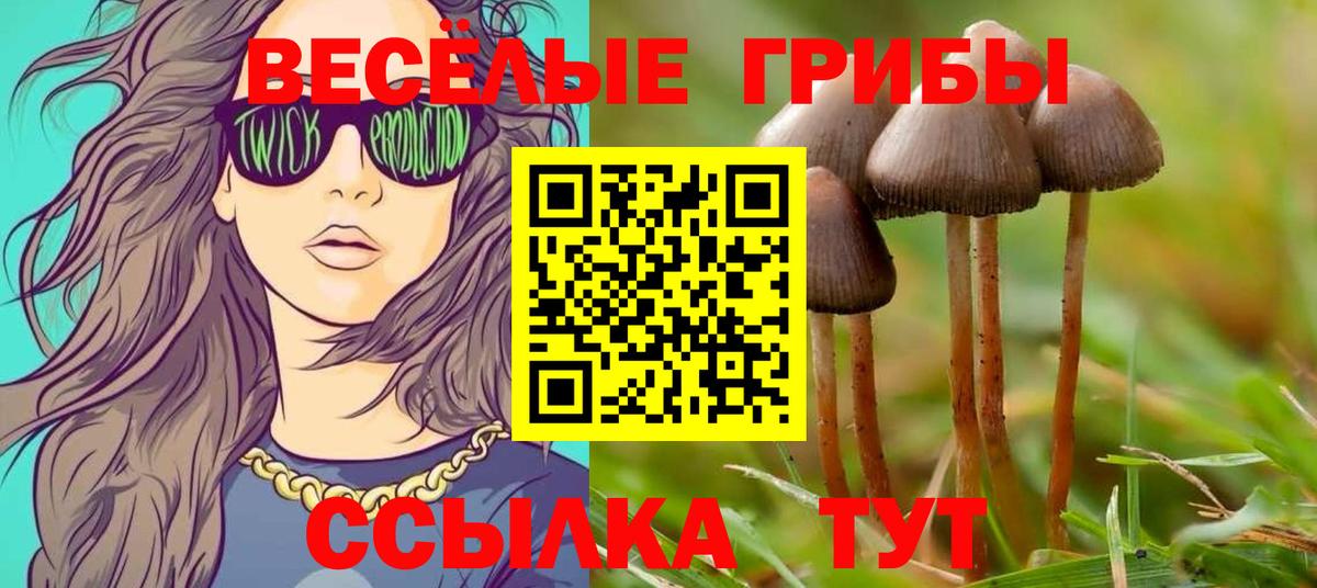 Дальнереченск  Галлюциногенные грибы мицелий  Вход с VPN  Галлюциногенные грибы GOLDEN TEACHER 
